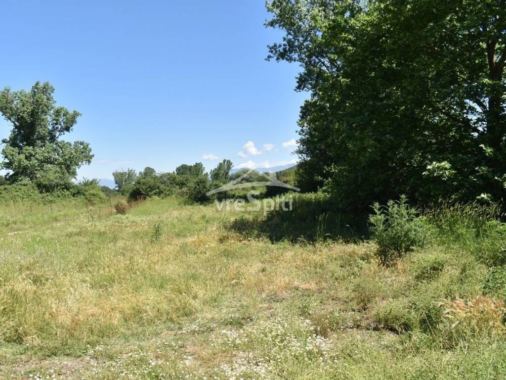 ΑΠΟΨΗ ΑΓΡΟΤΕΜΑΧΙΟΥ