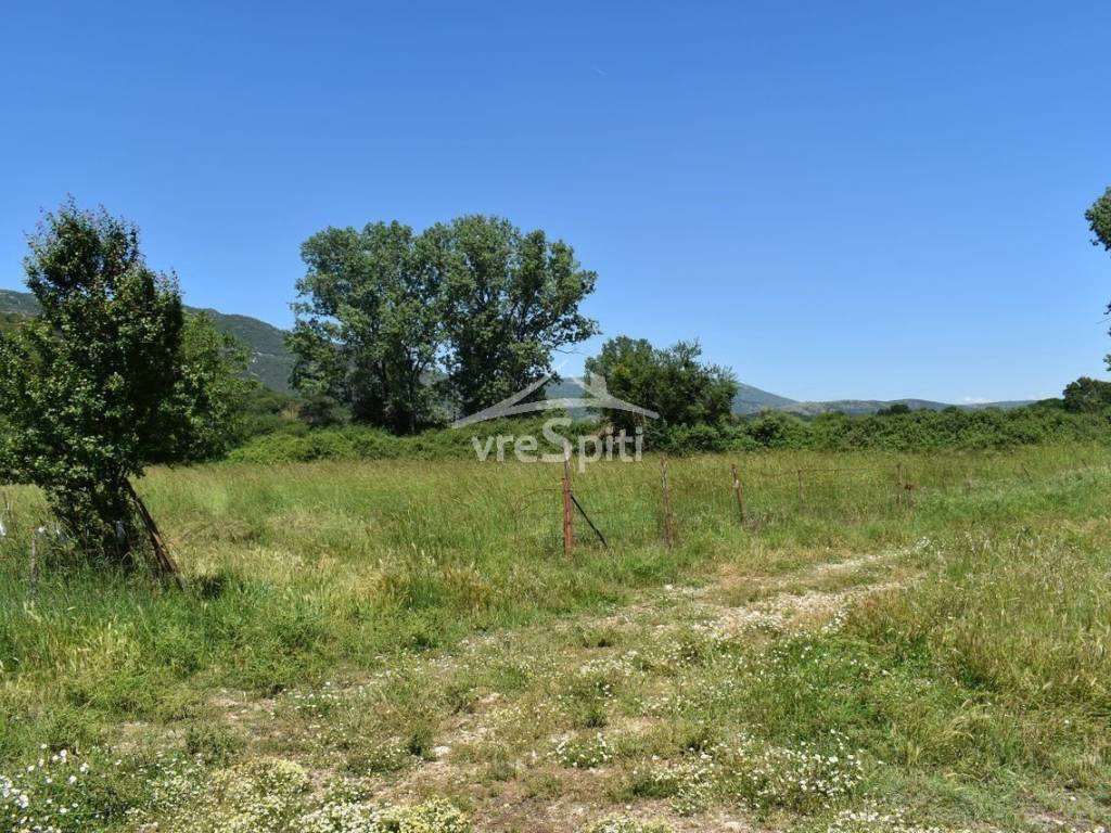 ΑΠΟΨΗ ΑΓΡΟΤΕΜΑΧΙΟΥ