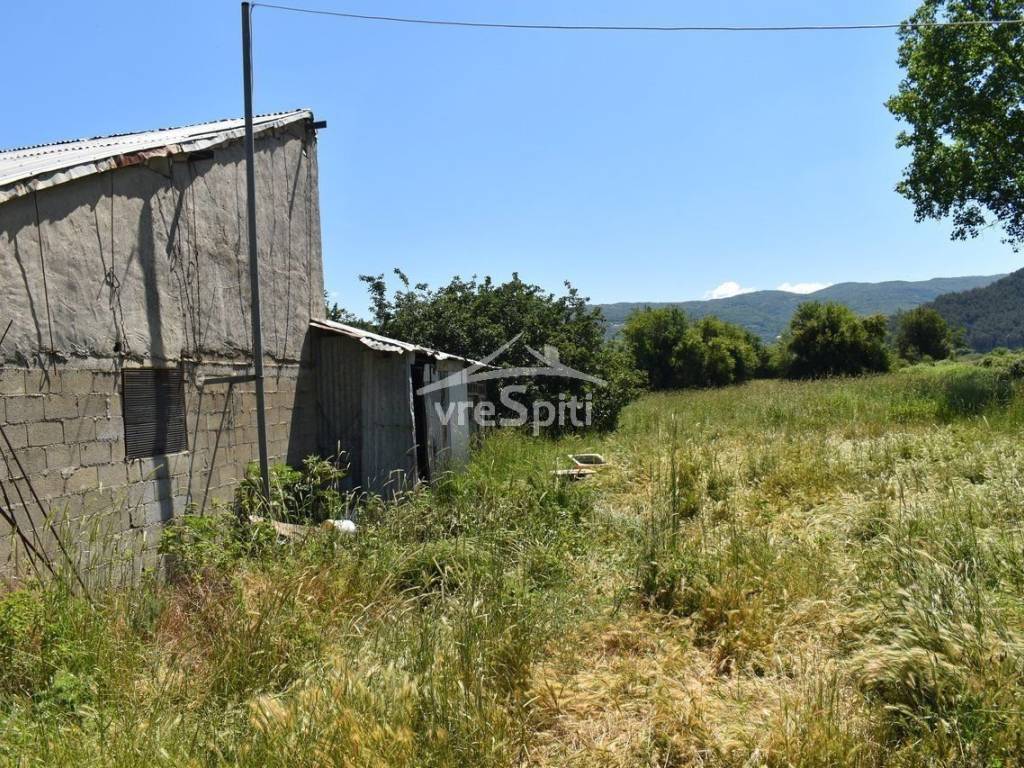 ΑΠΟΨΗ ΑΓΡΟΤΕΜΑΧΙΟΥ