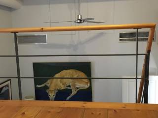 Apopse toy patarioy, orophes