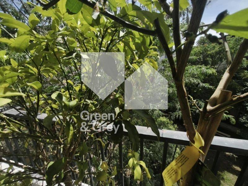 Ύπαρξη ανθρώπου