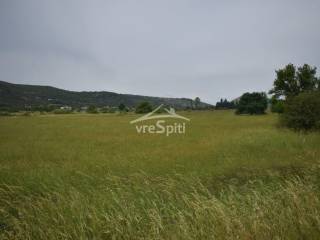 ΑΠΟΨΗ ΑΓΡΟΤΕΜΑΧΙΟΥ