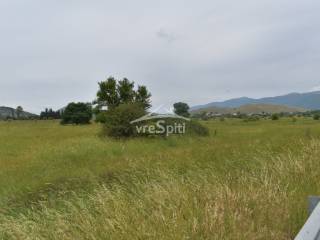 ΑΠΟΨΗ ΑΓΡΟΤΕΜΑΧΙΟΥ