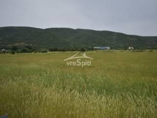 ΑΠΟΨΗ ΑΓΡΟΤΕΜΑΧΙΟΥ