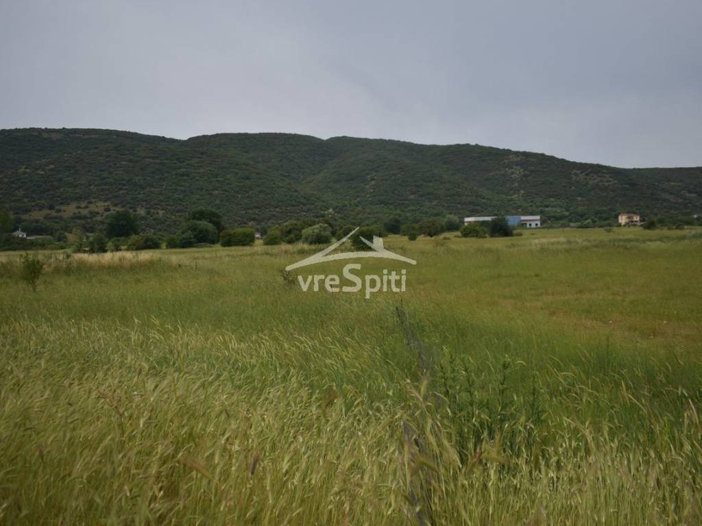 ΑΠΟΨΗ ΑΓΡΟΤΕΜΑΧΙΟΥ