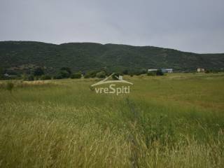 ΑΠΟΨΗ ΑΓΡΟΤΕΜΑΧΙΟΥ