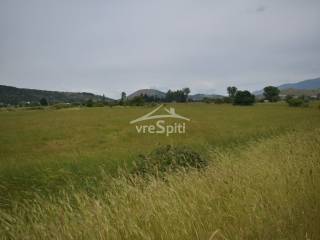 ΑΠΟΨΗ ΑΓΡΟΤΕΜΑΧΙΟΥ