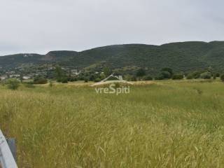 ΑΠΟΨΗ ΑΓΡΟΤΕΜΑΧΙΟΥ