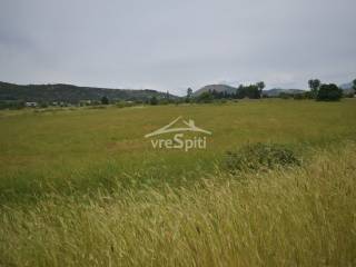 ΑΠΟΨΗ ΑΓΡΟΤΕΜΑΧΙΟΥ