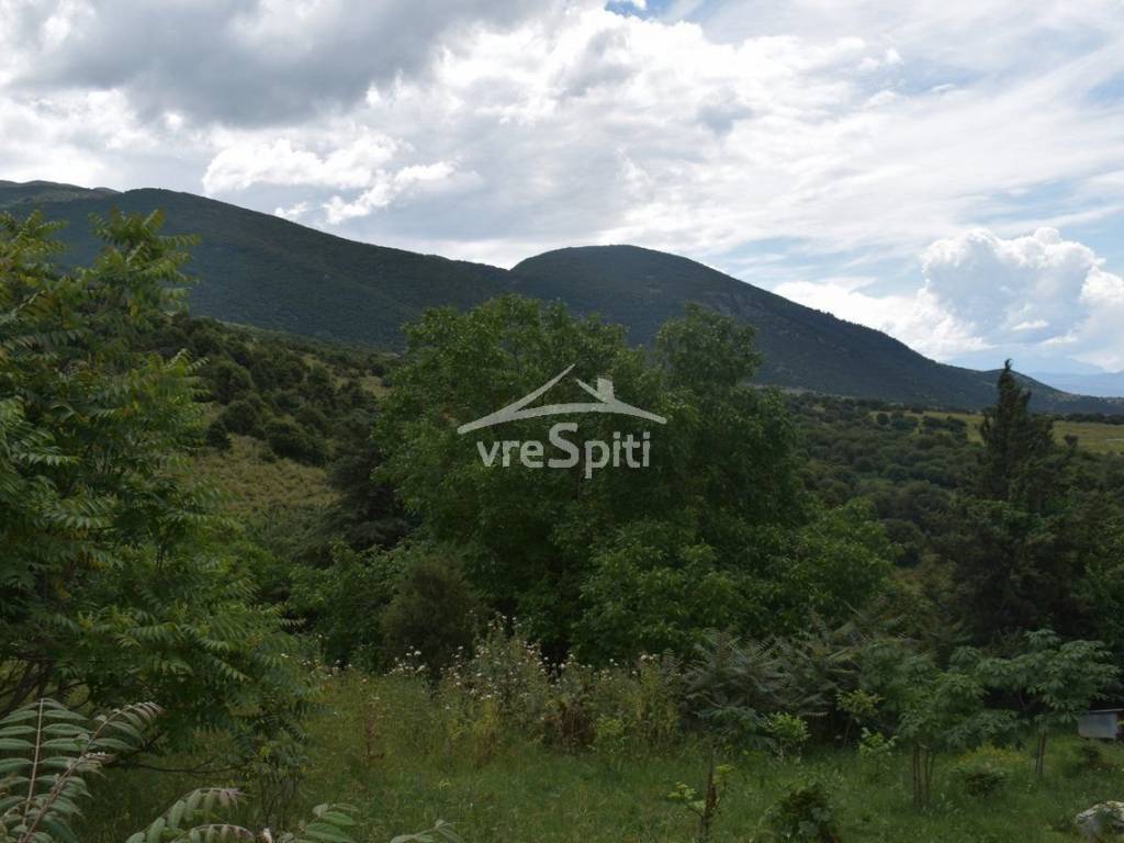 ΑΠΟΨΗ ΟΙΚΟΠΕΔΟΥ