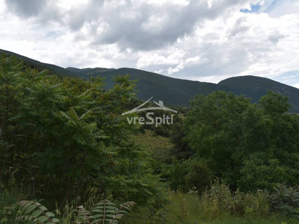 ΑΠΟΨΗ ΟΙΚΟΠΕΔΟΥ