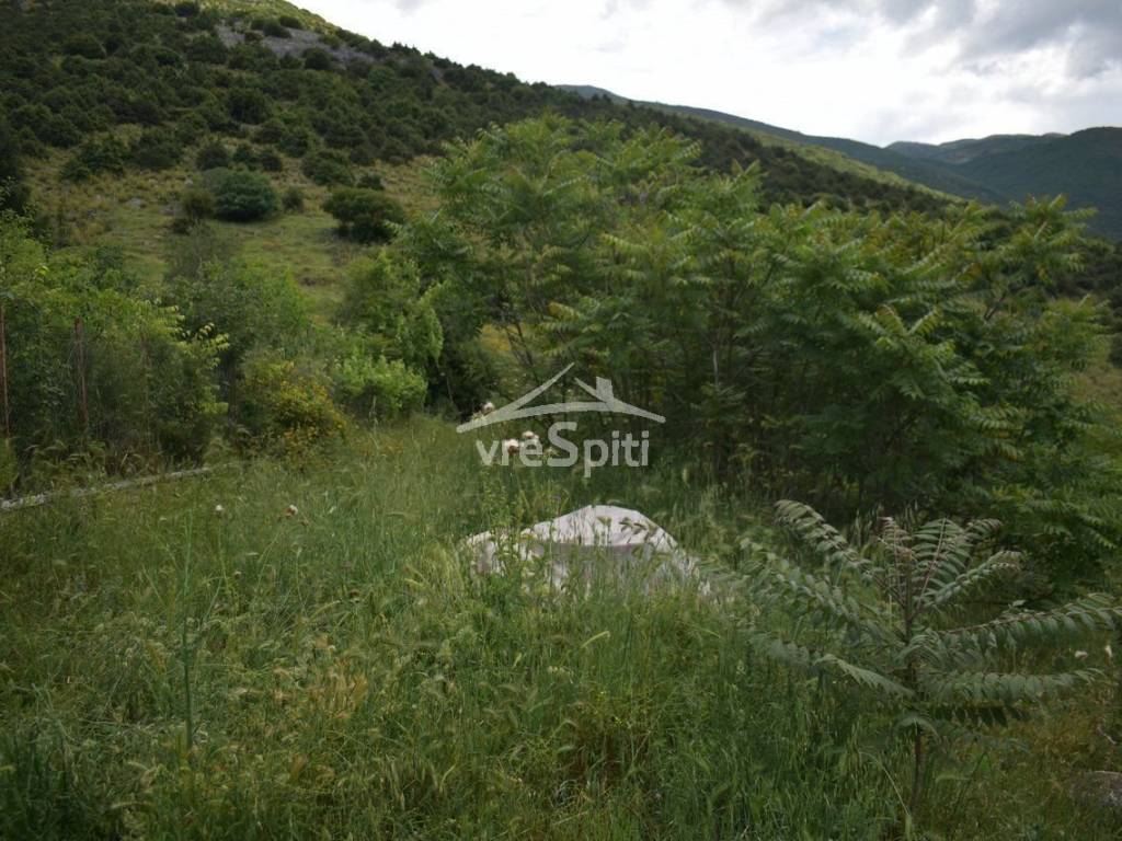 ΑΠΟΨΗ ΟΙΚΟΠΕΔΟΥ