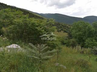 ΑΠΟΨΗ ΟΙΚΟΠΕΔΟΥ