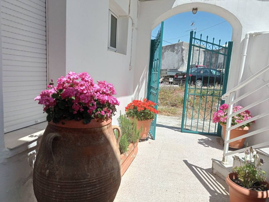 Exoterikos choros-Ayle