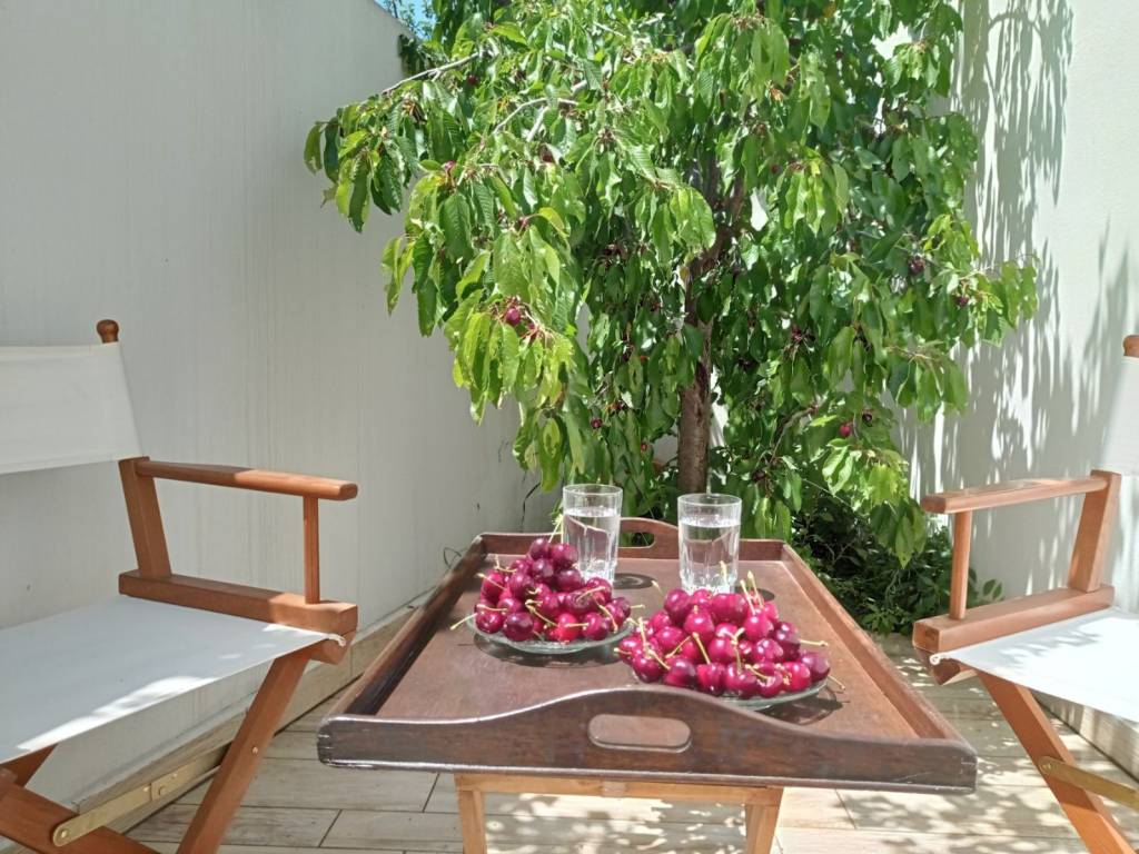 Exoterikos choros-Ayle