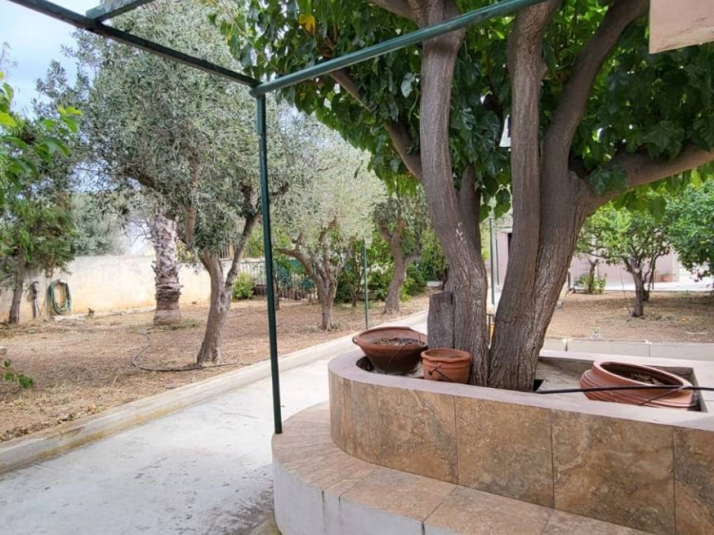 Εξωτερικοι χώροι