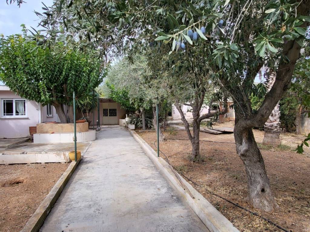 Εξωτερικοι χώροι