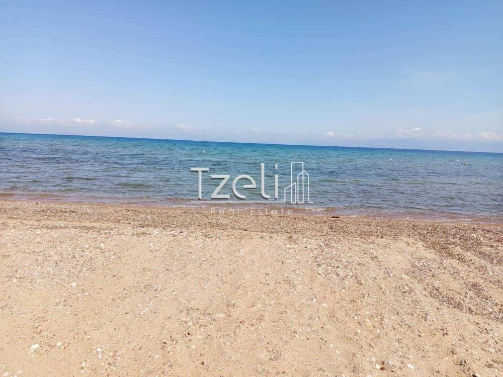 Εξωτερική άποψη χώρου