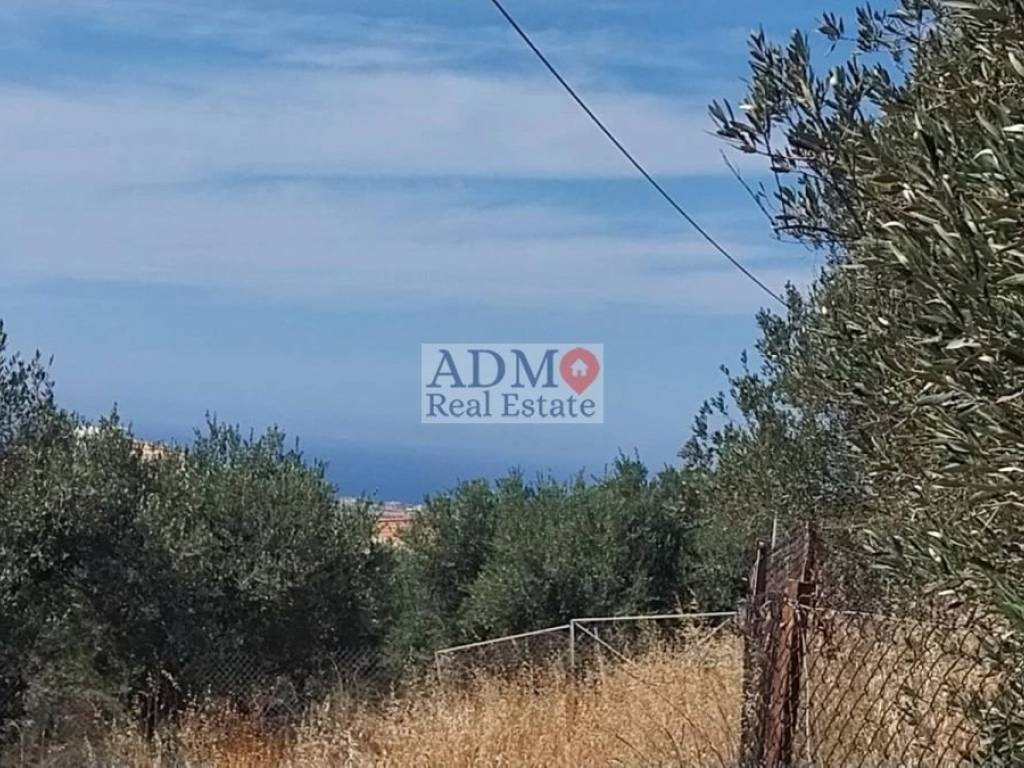 Εξωτερικοι χώροι