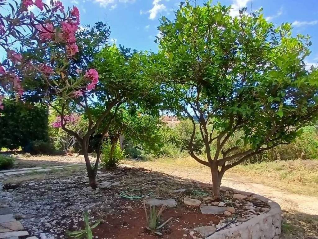 Landscape of the plot of the Whole Building