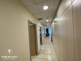 Forumland Real Estate, Grapheiakos choros