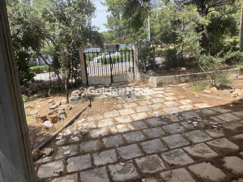 Εξωτερικός Χώρος