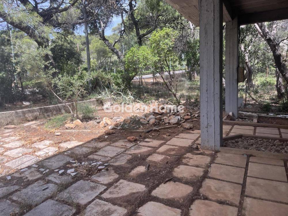 Εξωτερικός Χώρος