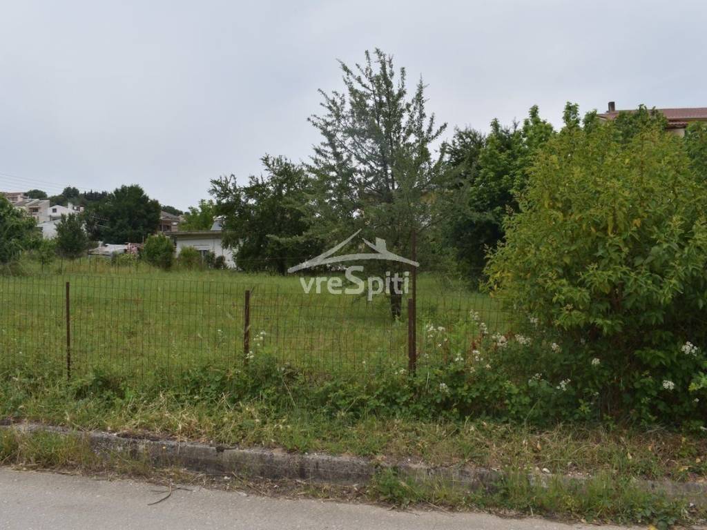 ΑΠΟΨΗ ΟΙΚΟΠΕΔΟΥ