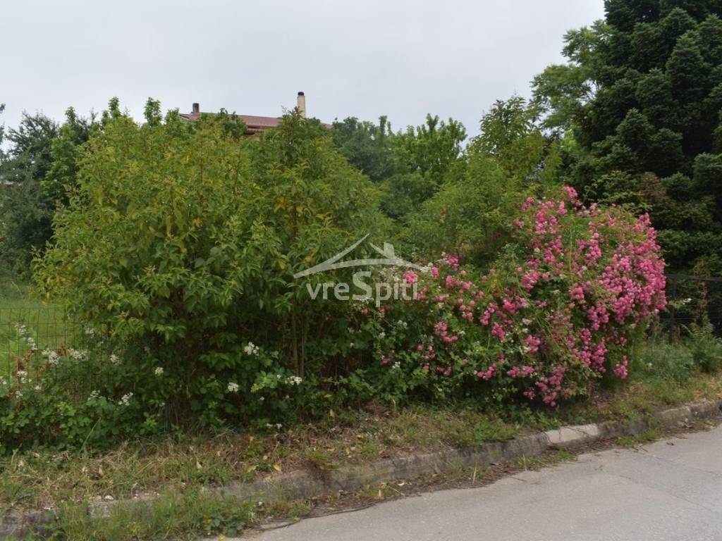 ΑΠΟΨΗ ΟΙΚΟΠΕΔΟΥ