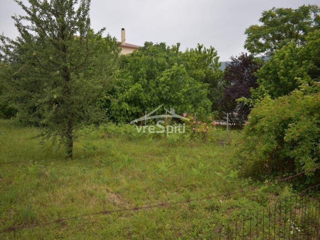 ΑΠΟΨΗ ΟΙΚΟΠΕΔΟΥ