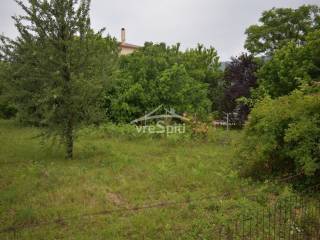 ΑΠΟΨΗ ΟΙΚΟΠΕΔΟΥ