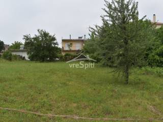 ΑΠΟΨΗ ΟΙΚΟΠΕΔΟΥ