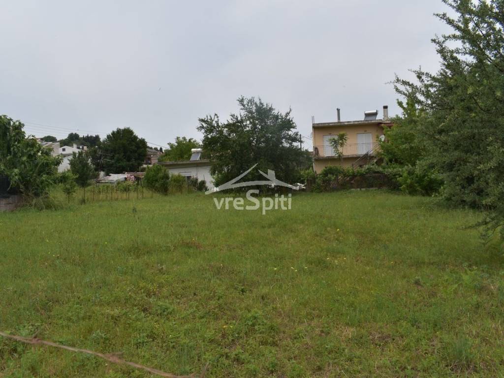 ΑΠΟΨΗ ΟΙΚΟΠΕΔΟΥ