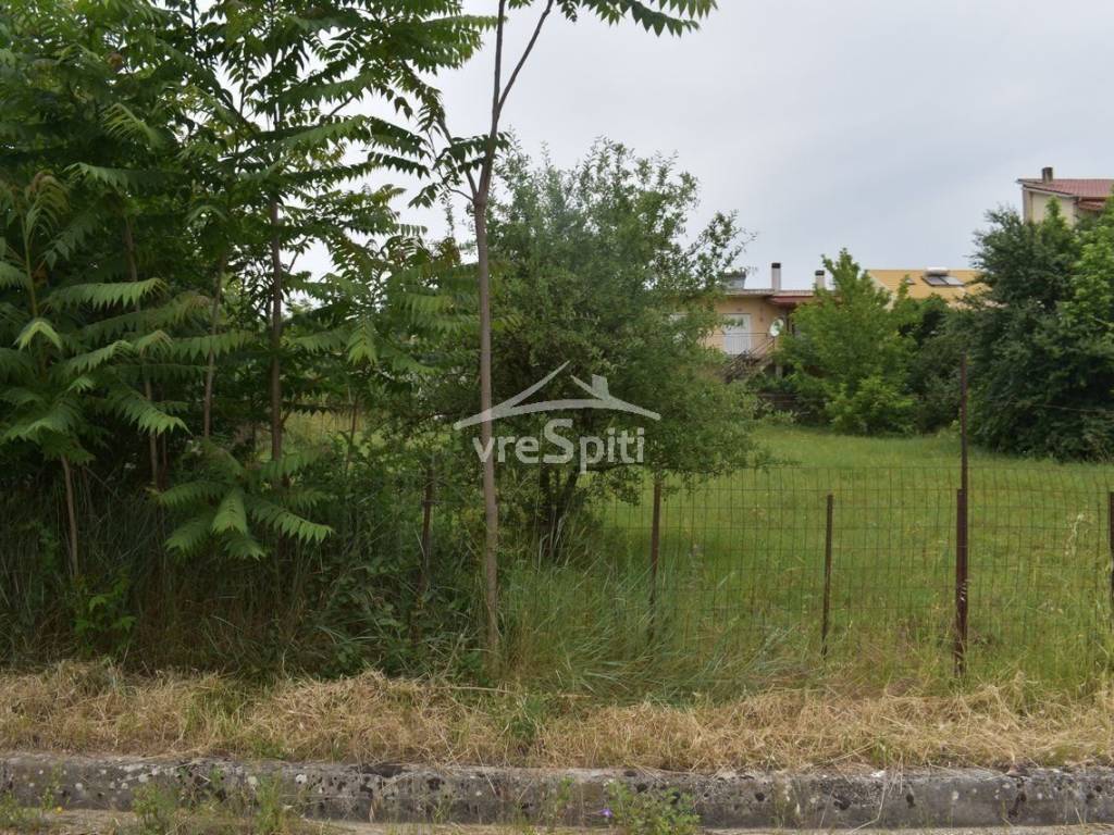 ΑΠΟΨΗ ΟΙΚΟΠΕΔΟΥ