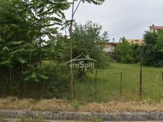 ΑΠΟΨΗ ΟΙΚΟΠΕΔΟΥ