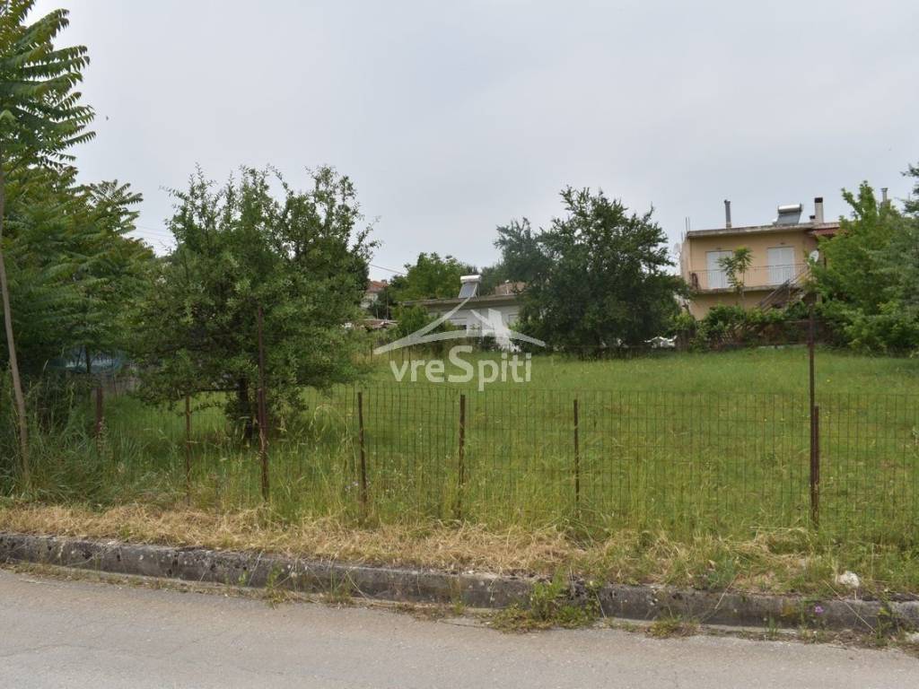 ΑΠΟΨΗ ΟΙΚΟΠΕΔΟΥ