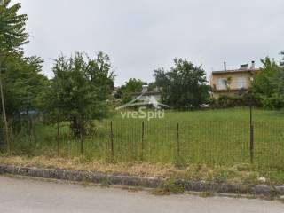 ΑΠΟΨΗ ΟΙΚΟΠΕΔΟΥ