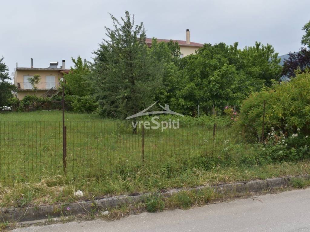 ΑΠΟΨΗ ΟΙΚΟΠΕΔΟΥ