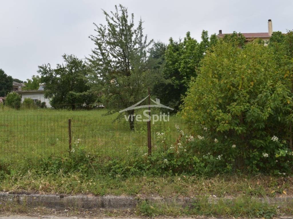 ΑΠΟΨΗ ΟΙΚΟΠΕΔΟΥ