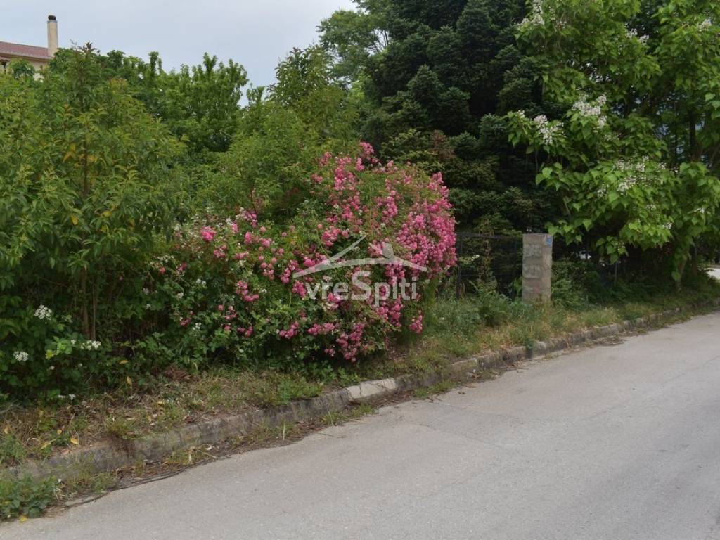 ΑΠΟΨΗ ΟΙΚΟΠΕΔΟΥ