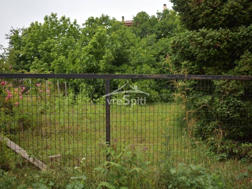 ΑΠΟΨΗ ΟΙΚΟΠΕΔΟΥ