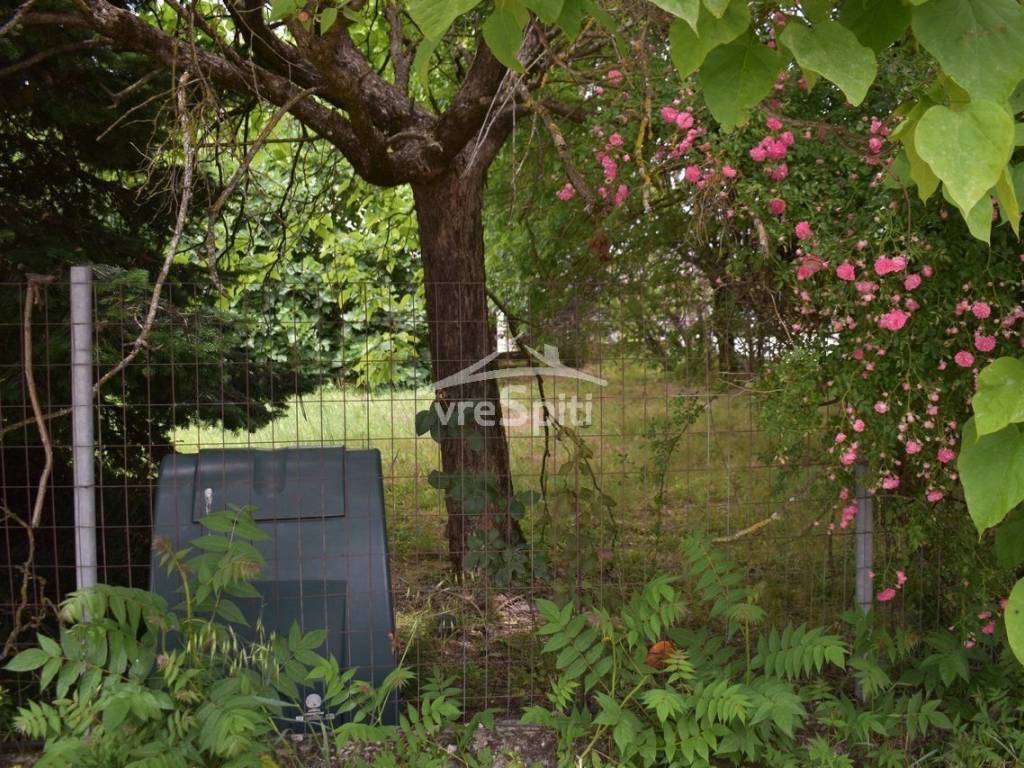 ΑΠΟΨΗ ΟΙΚΟΠΕΔΟΥ