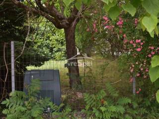 ΑΠΟΨΗ ΟΙΚΟΠΕΔΟΥ