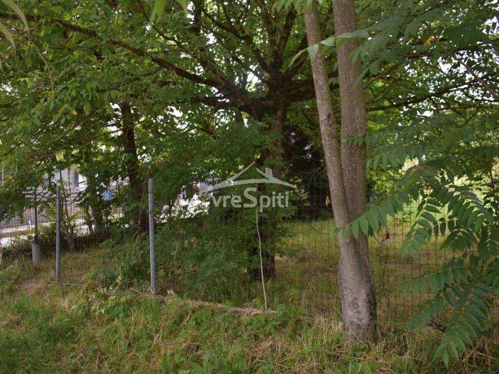 ΑΠΟΨΗ ΟΙΚΟΠΕΔΟΥ