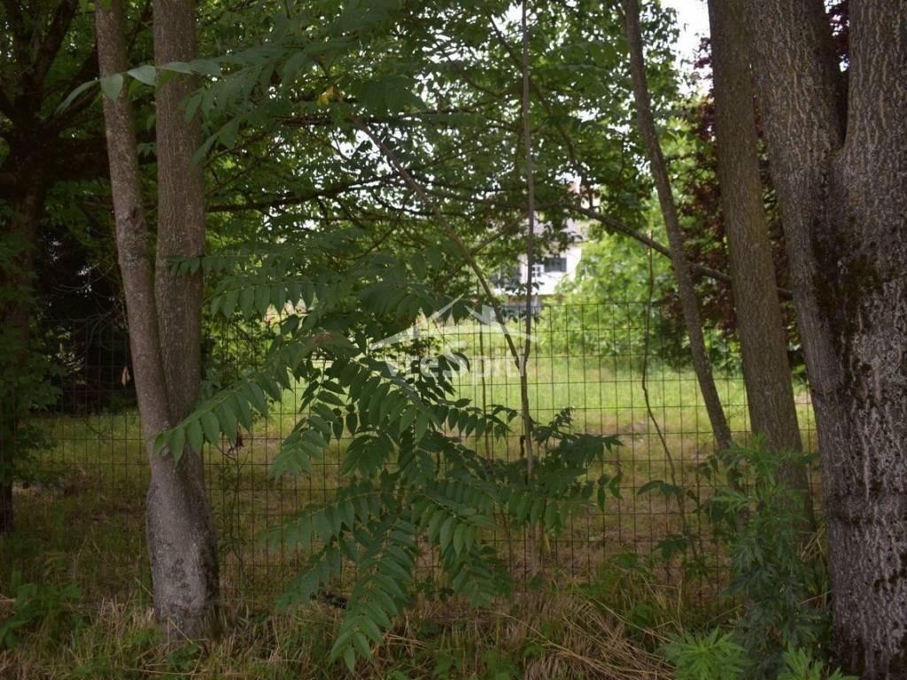 ΑΠΟΨΗ ΟΙΚΟΠΕΔΟΥ