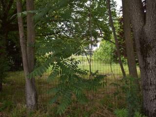 ΑΠΟΨΗ ΟΙΚΟΠΕΔΟΥ