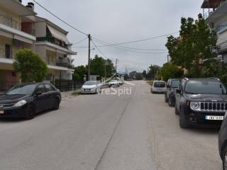 ΑΠΟΨΗ ΟΙΚΟΠΕΔΟΥ