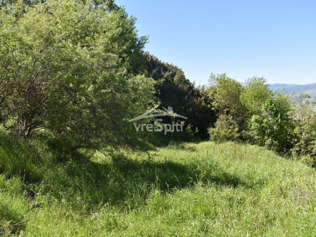 ΑΠΟΨΗ ΟΙΚΟΠΕΔΟΥ