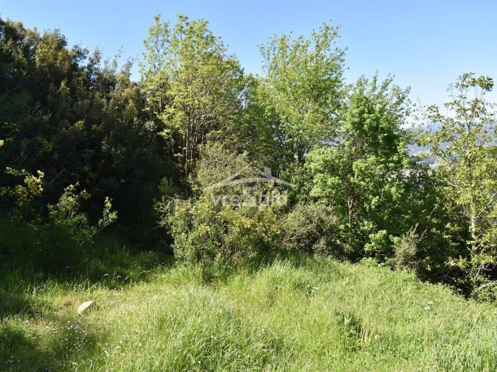 ΑΠΟΨΗ ΟΙΚΟΠΕΔΟΥ