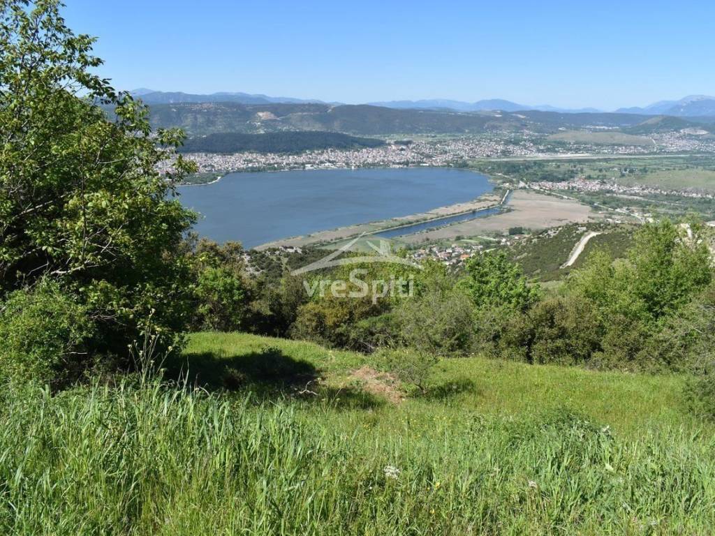 ΑΠΟΨΗ ΟΙΚΟΠΕΔΟΥ